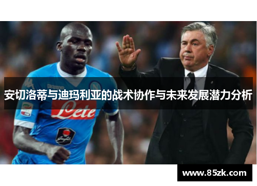 安切洛蒂与迪玛利亚的战术协作与未来发展潜力分析