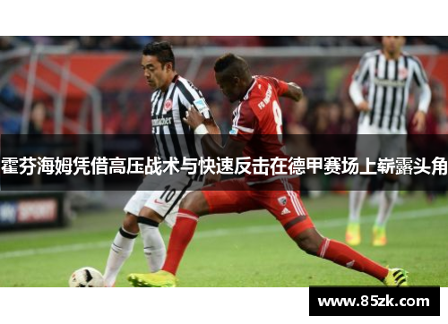 霍芬海姆凭借高压战术与快速反击在德甲赛场上崭露头角