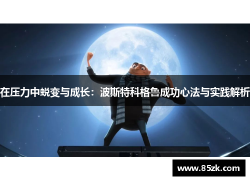 在压力中蜕变与成长：波斯特科格鲁成功心法与实践解析