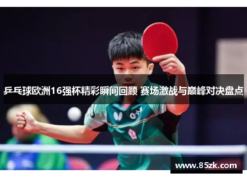 乒乓球欧洲16强杯精彩瞬间回顾 赛场激战与巅峰对决盘点
