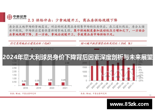 2024年意大利球员身价下降背后因素深度剖析与未来展望