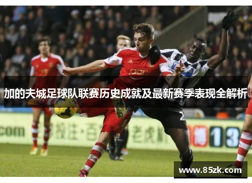 加的夫城足球队联赛历史成就及最新赛季表现全解析